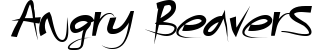 Angry Beavers