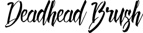 Deadhead Brush