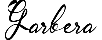 Garbera