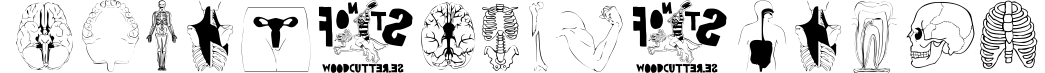 Human Body Parts