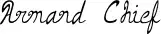 Armand Chief