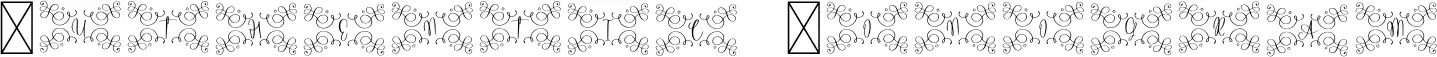 Authentic Monogram