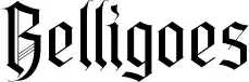 Belligoes