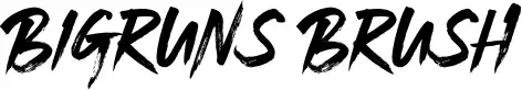 Bigruns Brush
