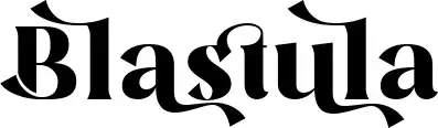 Blastula