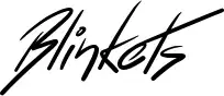 Blinkets