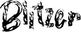 Blitzer