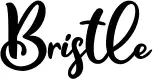 Bristle