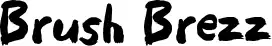 Brush Brezz