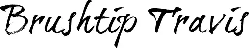 Brushtip Travis