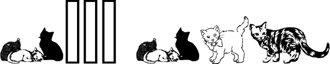 Cats CSP