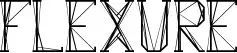 Flexure
