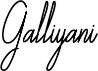 Galliyani