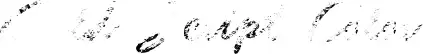 Guld Script Color