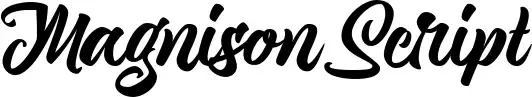 Magnison Script