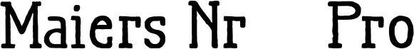 Maiers Nr.21 Pro