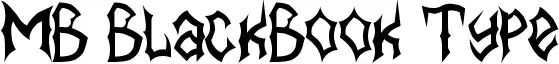 MB BlackBook Type