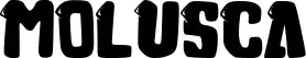 Molusca