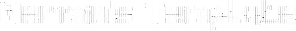 Nermin's Template