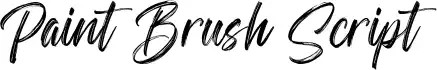 Paint Brush Script