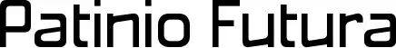 Patinio Futura