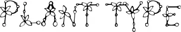 Plant Type