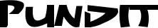 Pundit
