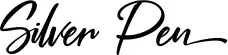 Silver Pen