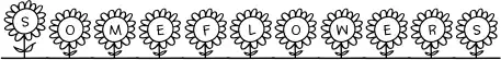 Someflowers