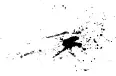 Splatter