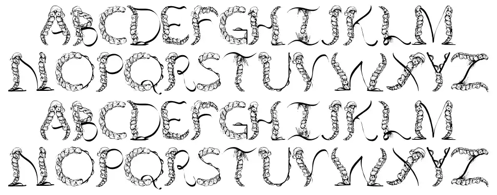 TenCHCeliberfont specimens