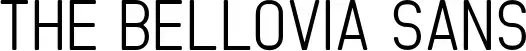 The Bellovia Sans