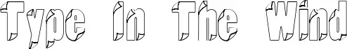 Type In The Wind