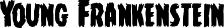 Young Frankenstein